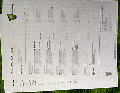 Read more about the article Make A Fake Central Queensland University(CQU) Transcript