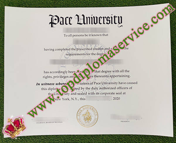 Pace University degree, Pace University certificate, Pace University diploma, 佩斯大学文凭,