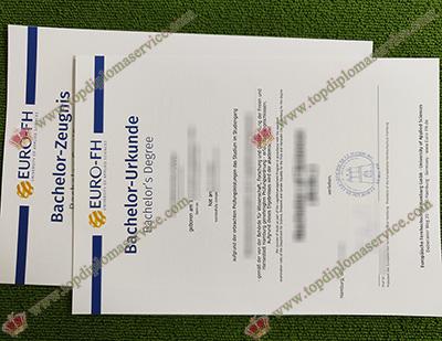 Euro-FH degree certificate