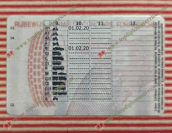 Belgium Driver license, Belgium ID,