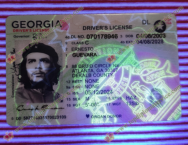 Georgia Driver card, Georgia IDs,