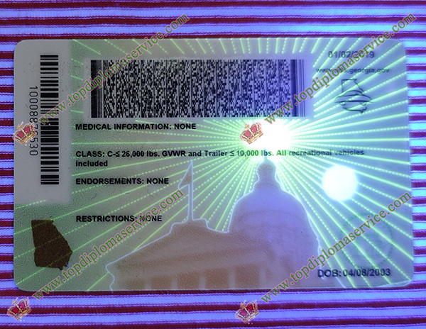 Georgia driving permit