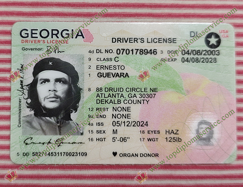 Georgia driver's license, Georgia ID,