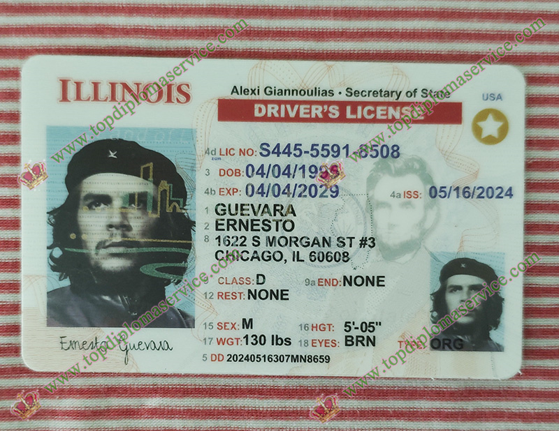 Read more about the article Can I drive in US with a phony Illinois Driver’s license