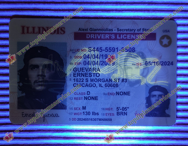 Illinois Driver's license, Illinois ID card,