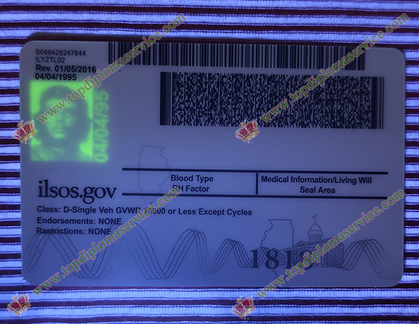 Illinois driving licence