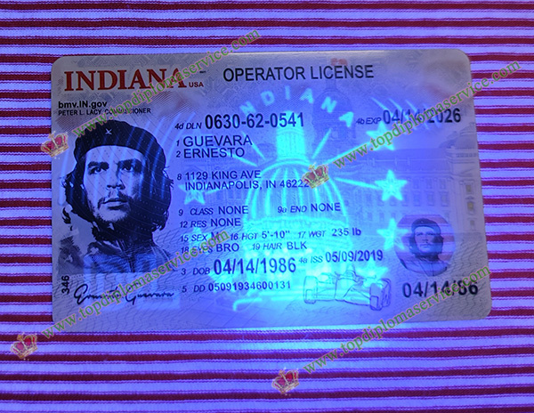 Indiana driver's license