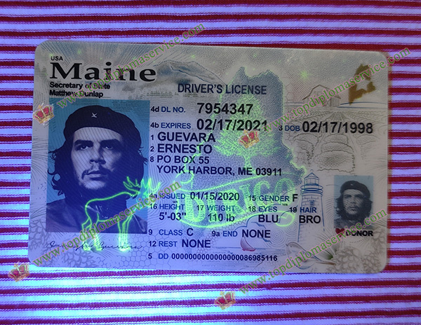 Maine Driver's license