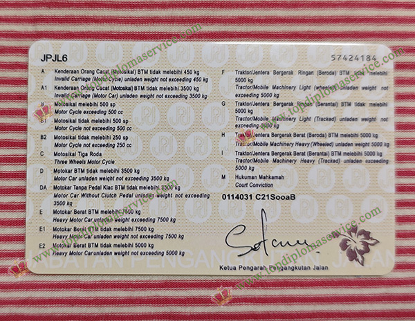 buy Malaysia Driving licence