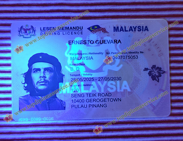 detectable Malaysia Driving licence