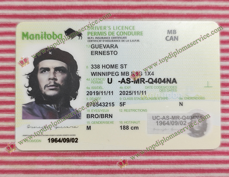 Manitoba Driver's licence, Manitoba ID card,