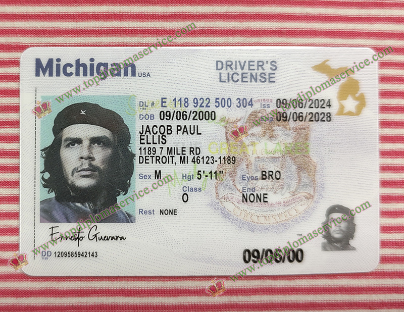 Michigan Driver's license, Michigan ID card,