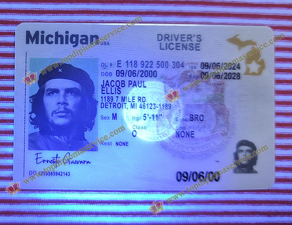 detectable Michigan Driver's license