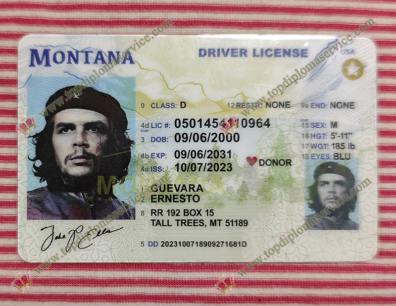 Read more about the article Steps to apply for a Montana driver license