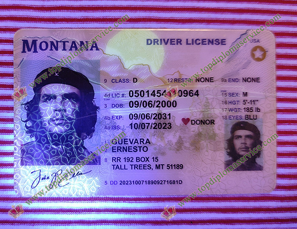 detectable Montana driver license