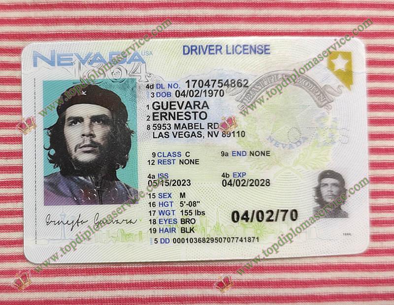 Read more about the article The real truth about making a false Neveda driver license