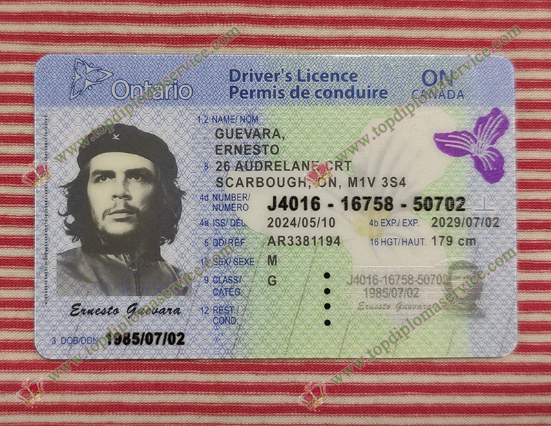 Read more about the article Is it worthy to order Ontario fake ID