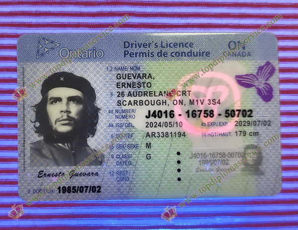 detectable Ontario Driver's licence