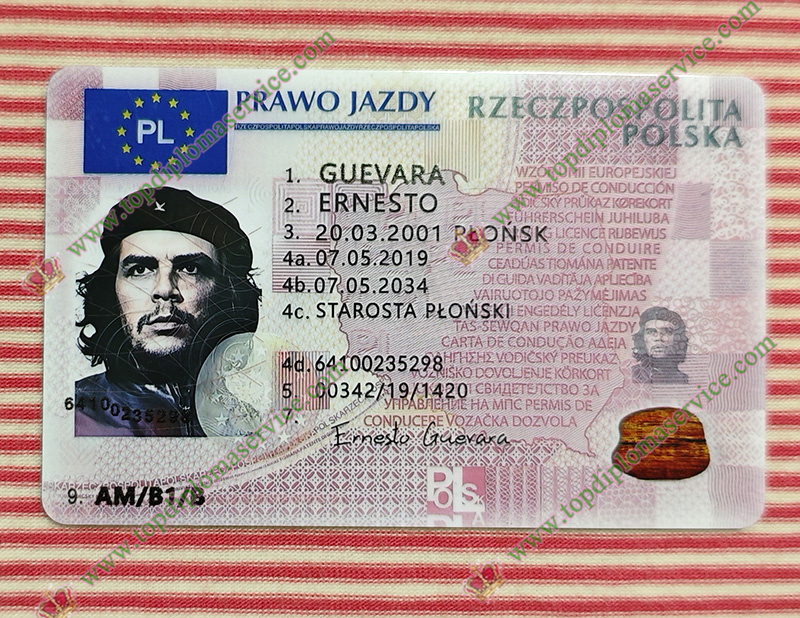 Poland driving licence, Polska prawo jazdy,