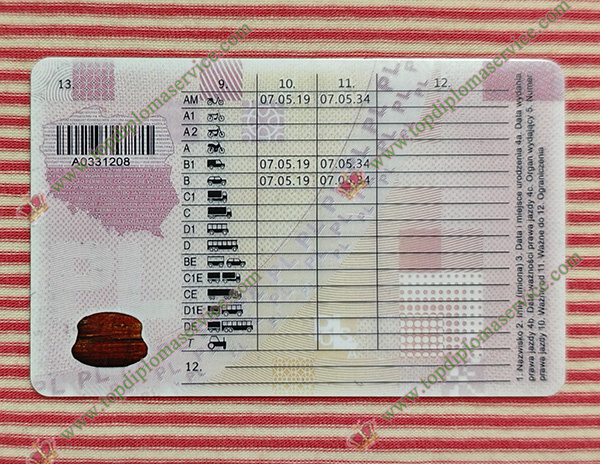 Polska driving licence