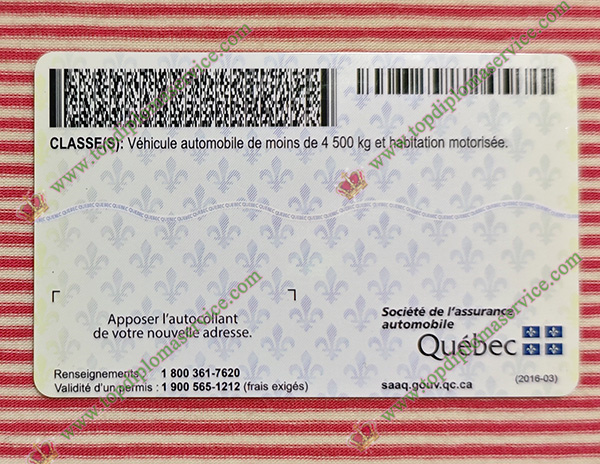 Quebec driver licence