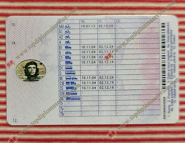 Romania driver licence