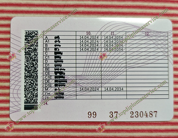 Russia Driving licence back side