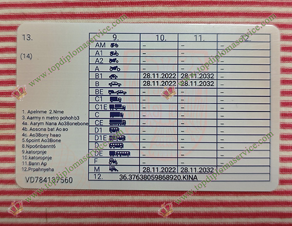 Serbia driver licence