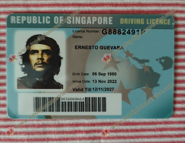 Read more about the article Unusual ways to obtain Singapore driving licence