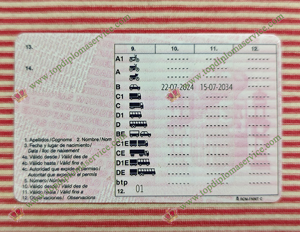 Spanish Driving licence reverse