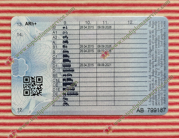 Turkey driving licence